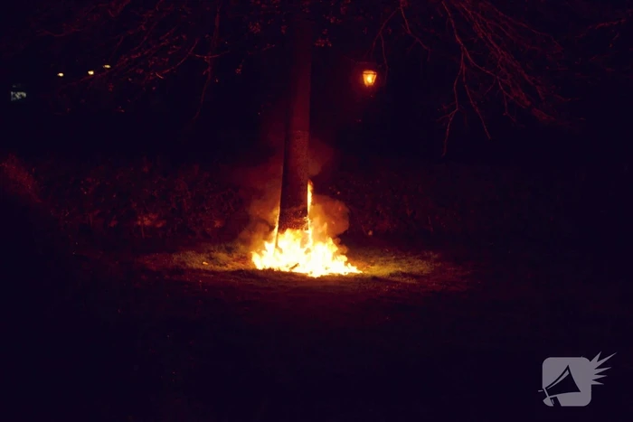 Brandende boom snel geblust