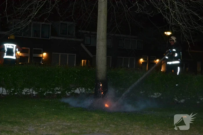 Brandende boom snel geblust