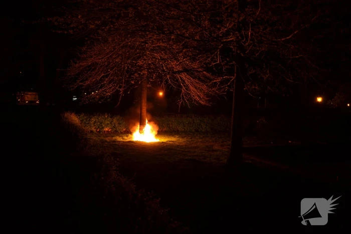 Brandende boom snel geblust