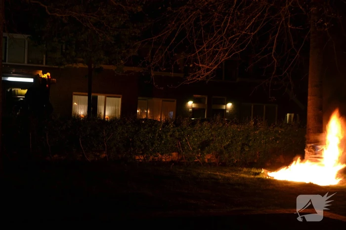 Brandende boom snel geblust
