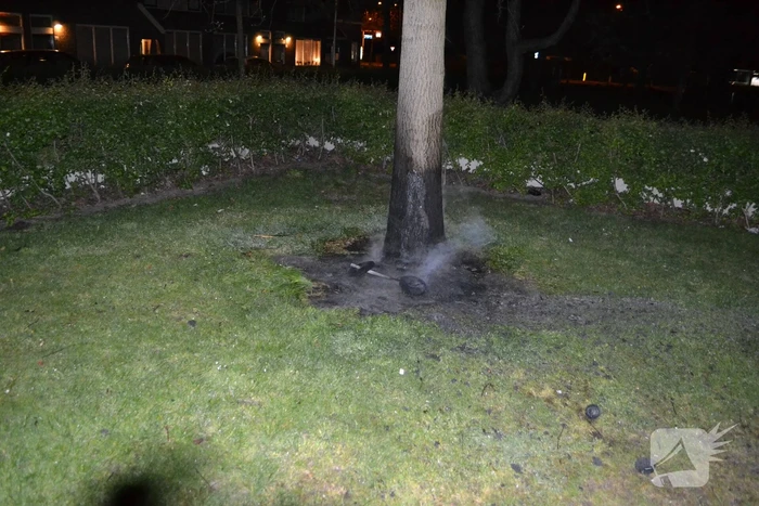 Brandende boom snel geblust