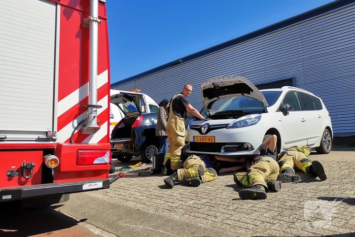 Kat vast in motorcompartiment van auto