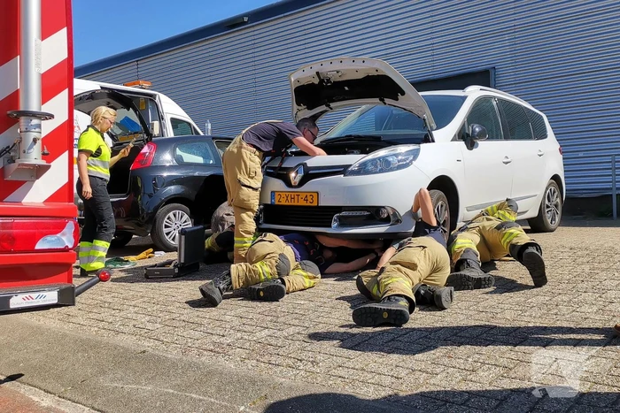Kat vast in motorcompartiment van auto