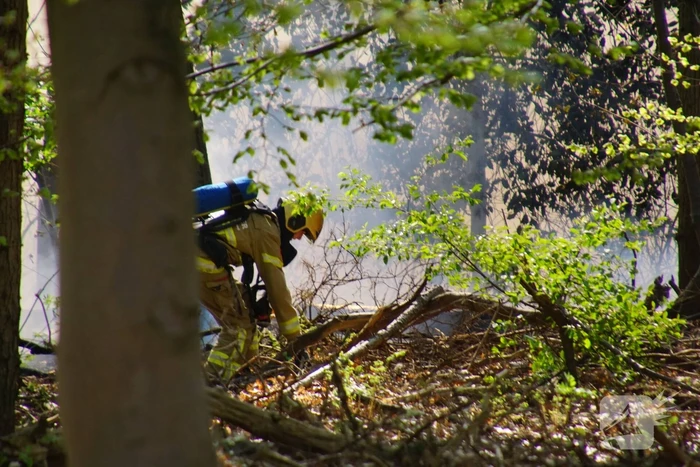 Brand in bosgebied