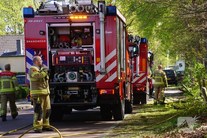Brand in bosgebied