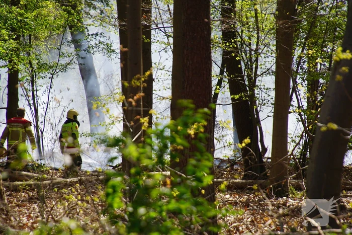 Brand in bosgebied
