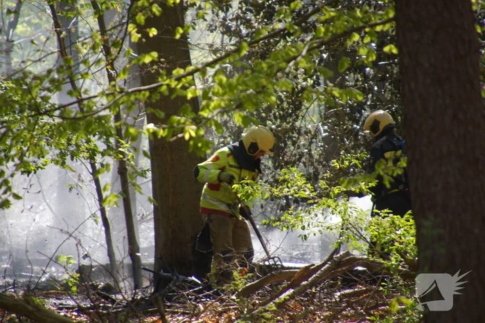 Brand in bosgebied