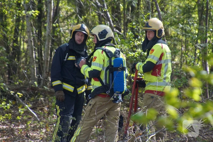 Brand in bosgebied