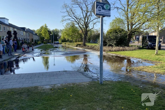 Waterballet na gesprongen leiding