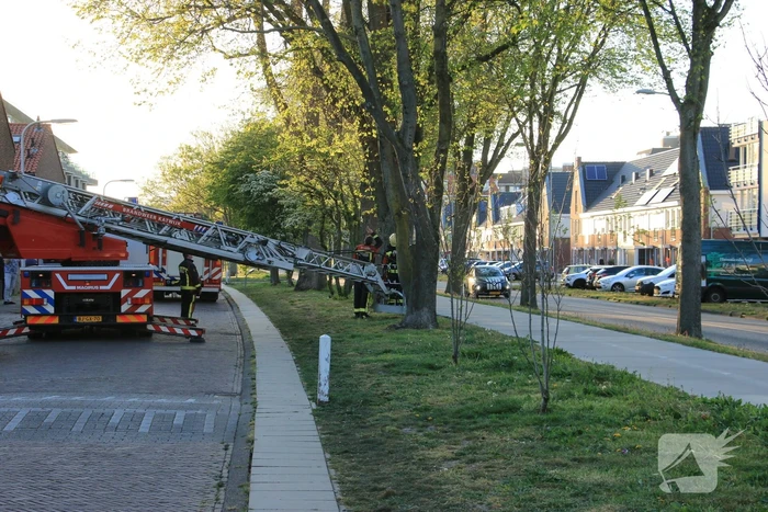 nieuws kortenaerstraat katwijk aan zee