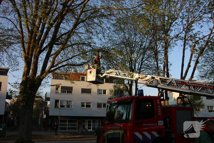 Brandweer verwijderd losse takken uit boom