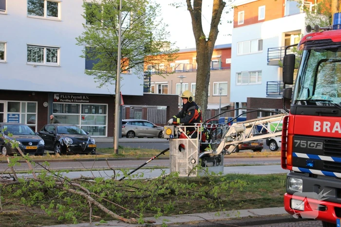 Brandweer verwijderd losse takken uit boom