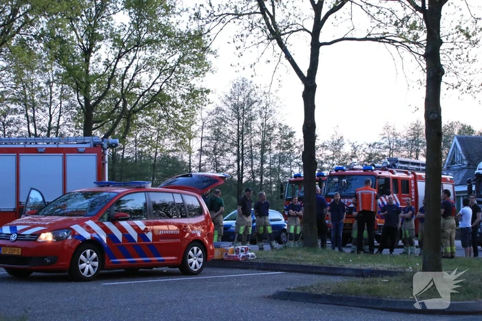Meerdere brandweereenheden ingezet voor grote natuurbrand in Limburg
