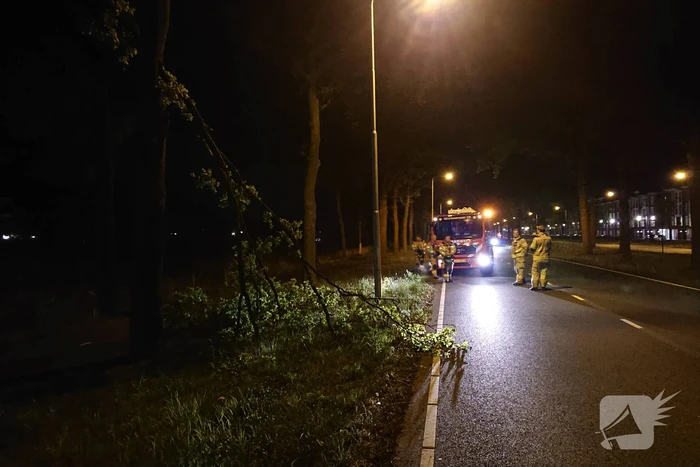 Brandweer verwijdert gevaarlijk hangende takken