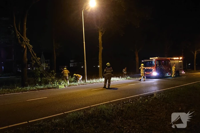 Brandweer verwijdert gevaarlijk hangende takken
