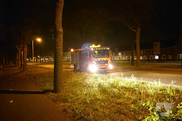 Brandweer verwijdert gevaarlijk hangende takken