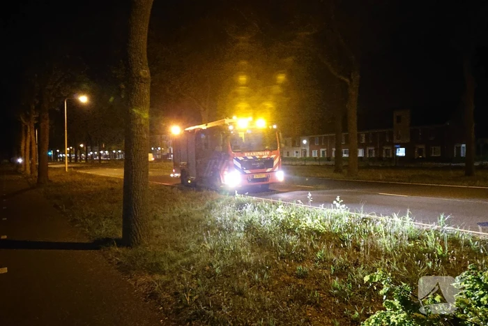 Brandweer verwijdert gevaarlijk hangende takken