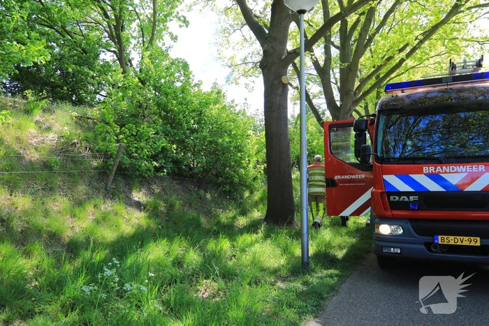 Struiken in brand op geluidswal