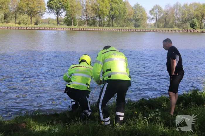 Omstanders treffen dode ree aan in het water