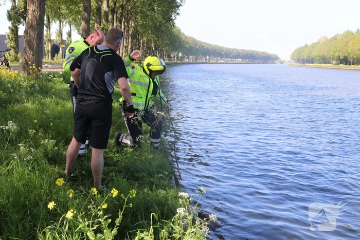 Omstanders treffen dode ree aan in het water