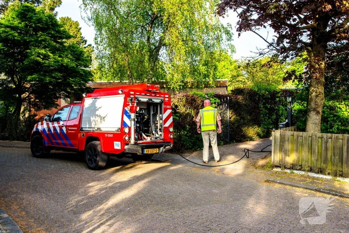 Struiken in brand tijdens barbecueën