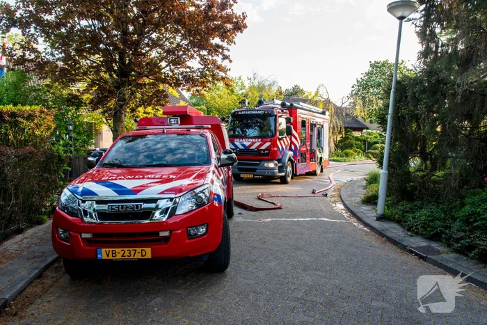 Struiken in brand tijdens barbecueën