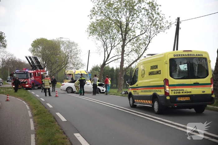 Auto belandt in weiland na frontale aanrijding