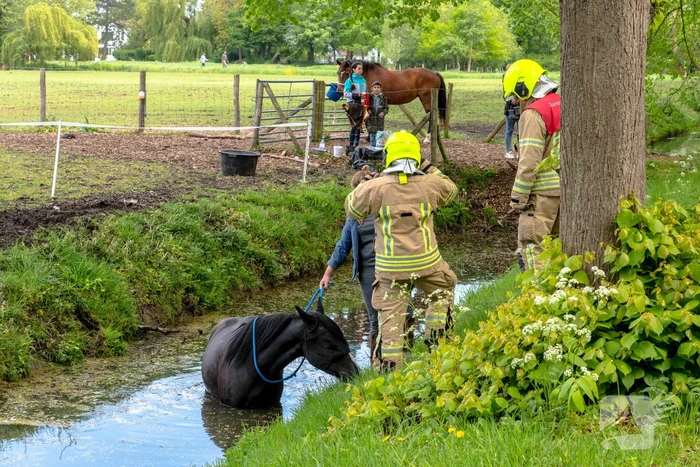 nieuws dorpsdijk rhoon
