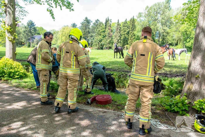 Brandweer haalt paard uit de sloot