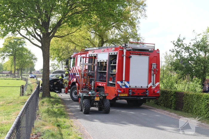 Auto botst op boom