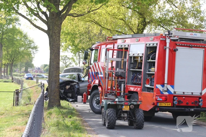 Auto botst op boom