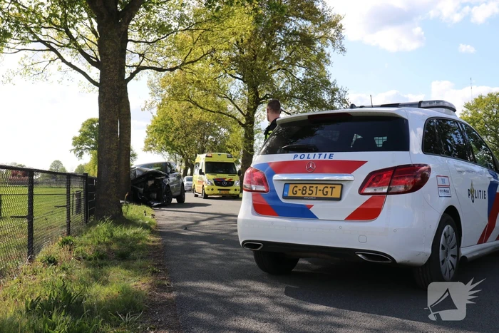 Auto botst op boom