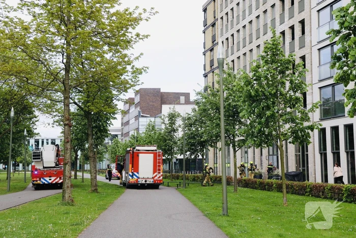 brand maria montessorilaan dordrecht