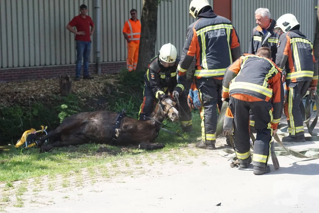 Tentweg Stolwijk 112 