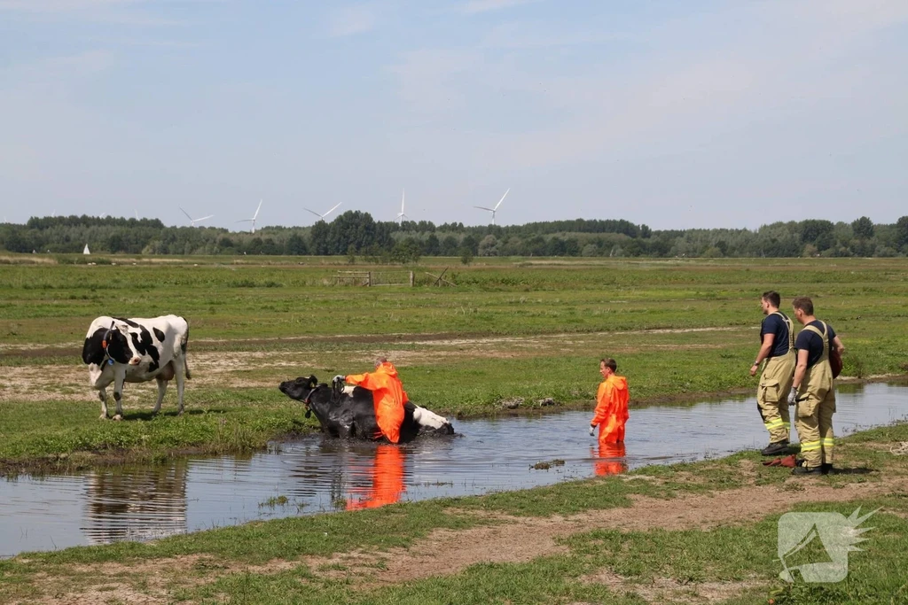 Nekkeveld Nijkerk 112 