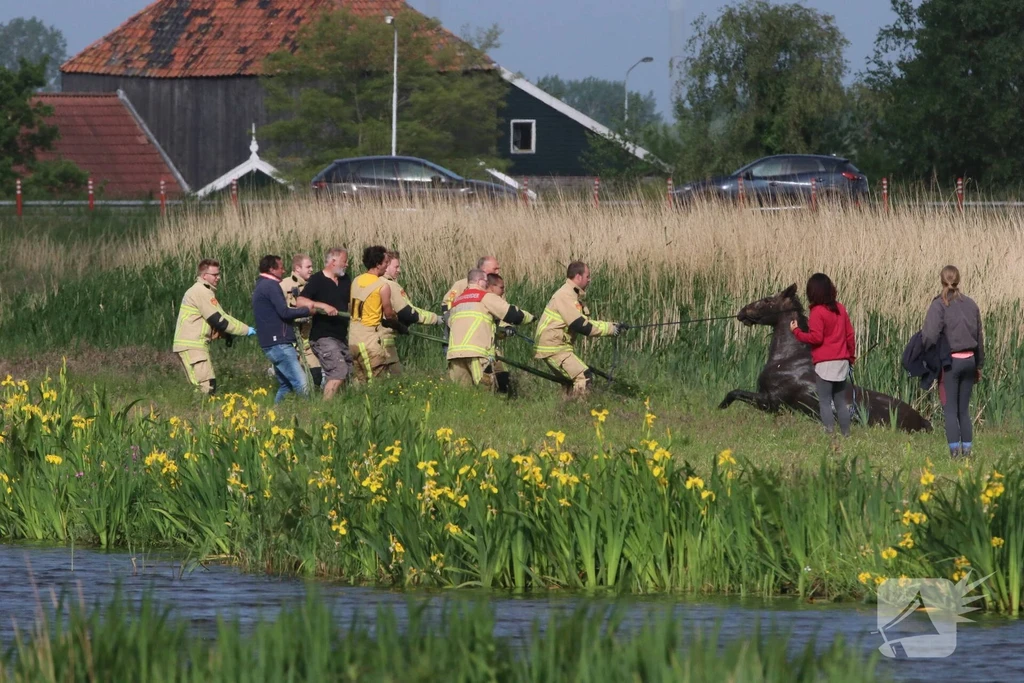 Middel Westzaan 112 