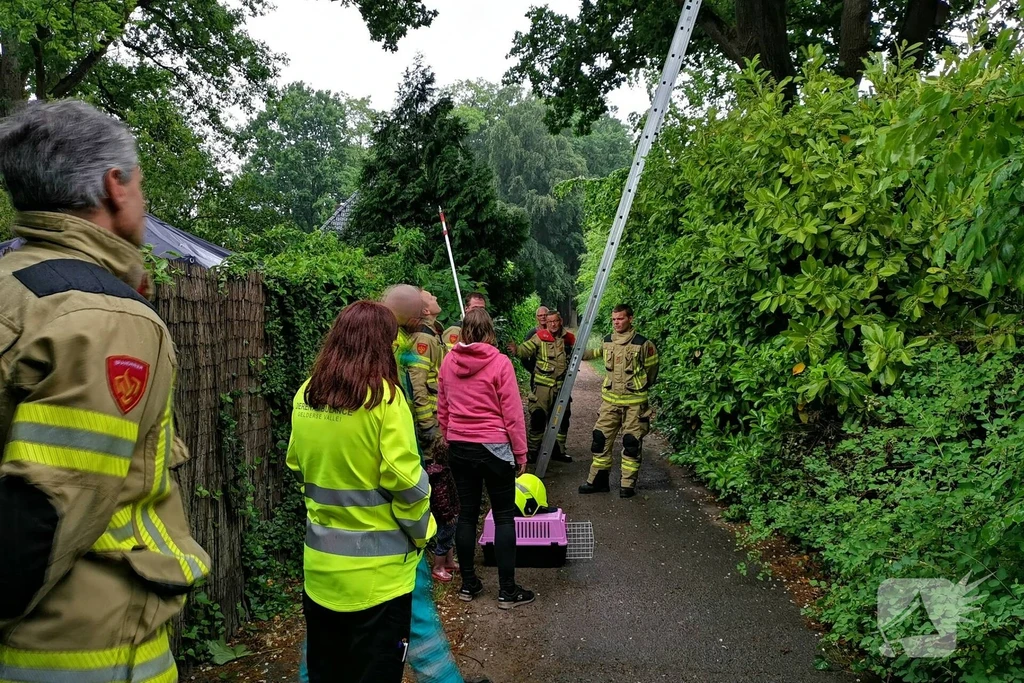 Tolhuislaan 112 melding Ede 