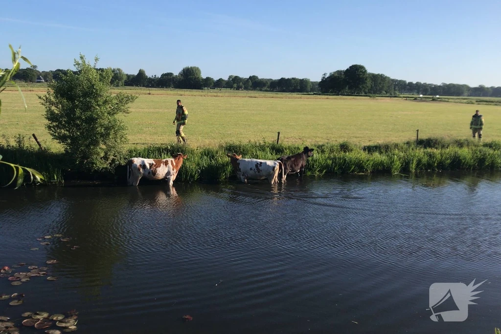 Plaggenmeierslaan Nieuws Voorthuizen 