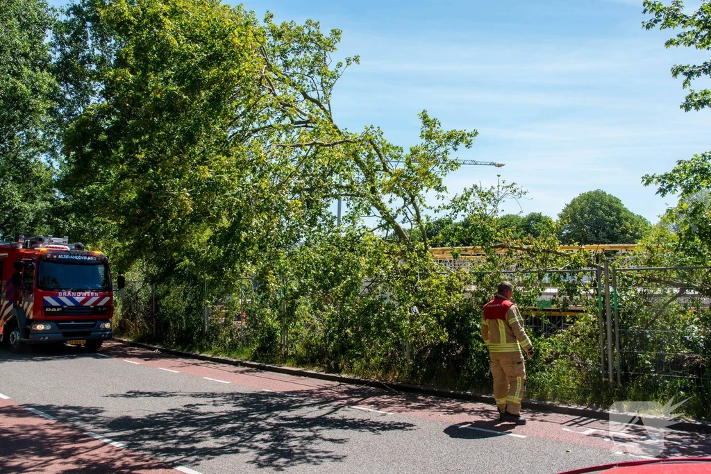 Viaductweg Nieuws Rhoon 