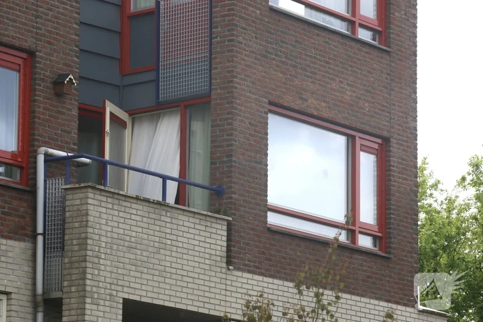 nieuws honingzwam veenendaal