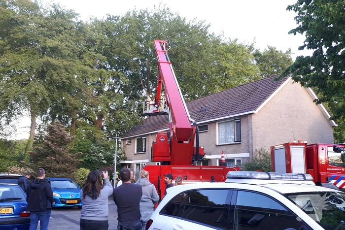 Brand in schoorsteen van woning