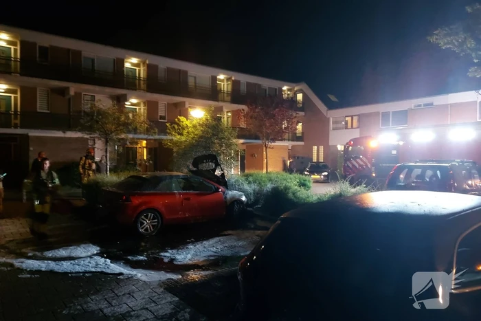 Auto vermoedelijk in brand gestoken