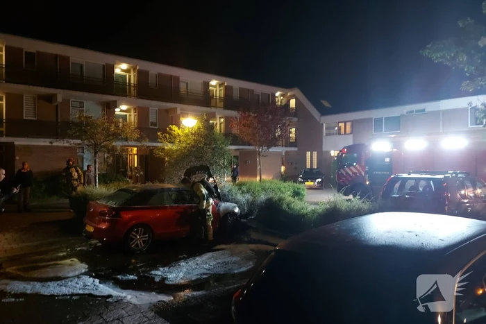 Auto vermoedelijk in brand gestoken