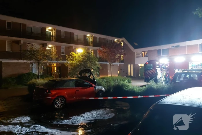 Auto vermoedelijk in brand gestoken