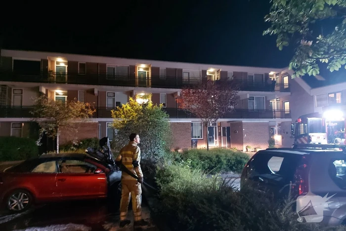 Auto vermoedelijk in brand gestoken