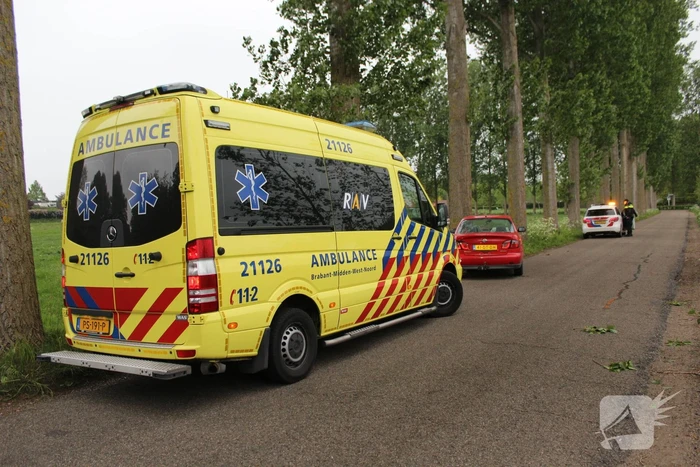Automobilist wijkt uit en knalt op boom