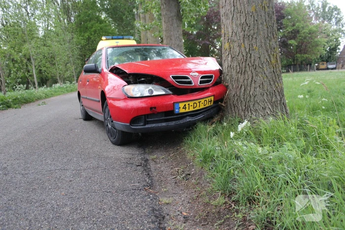 Automobilist wijkt uit en knalt op boom