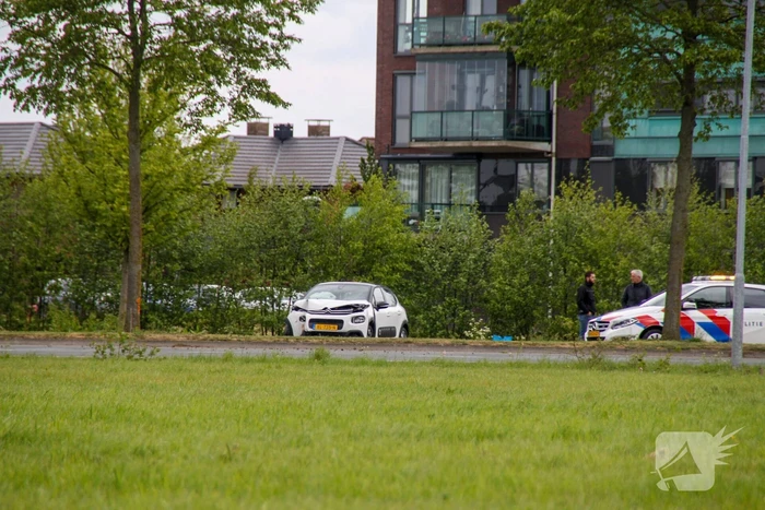 Auto vliegt uit de bocht en botst tegen boom