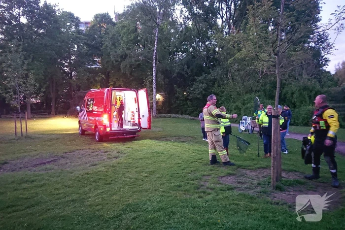 Zwaan met visdraad in de problemen