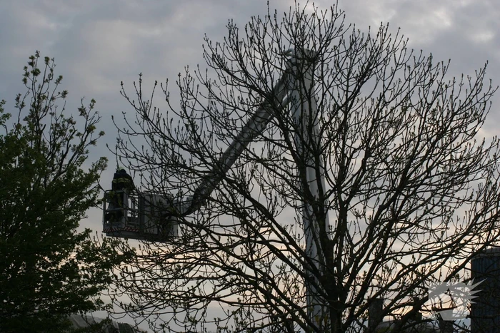 Flinke brand in silo